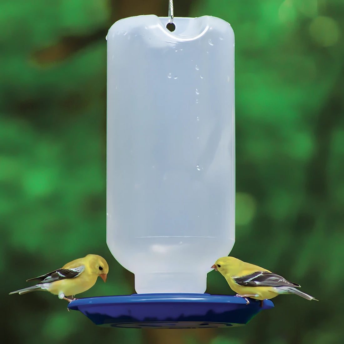 80 oz. Water Station
