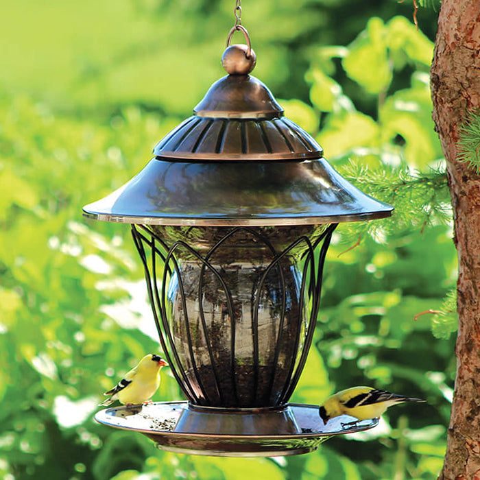 Backyard Trellis Glass Seed Bird Feeder