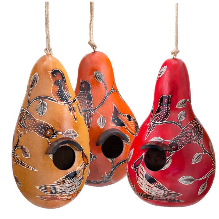 Birds of North America Gourd Birdhouse