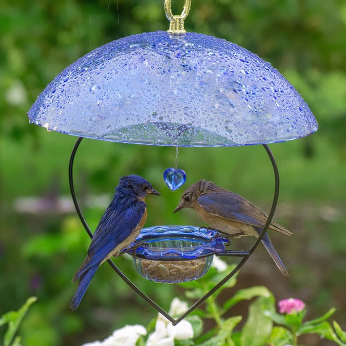Bluebird Heart Feeder with Blue Dome with visiting birds