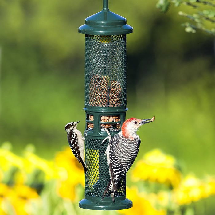 Caged Whole-Nut Feeder