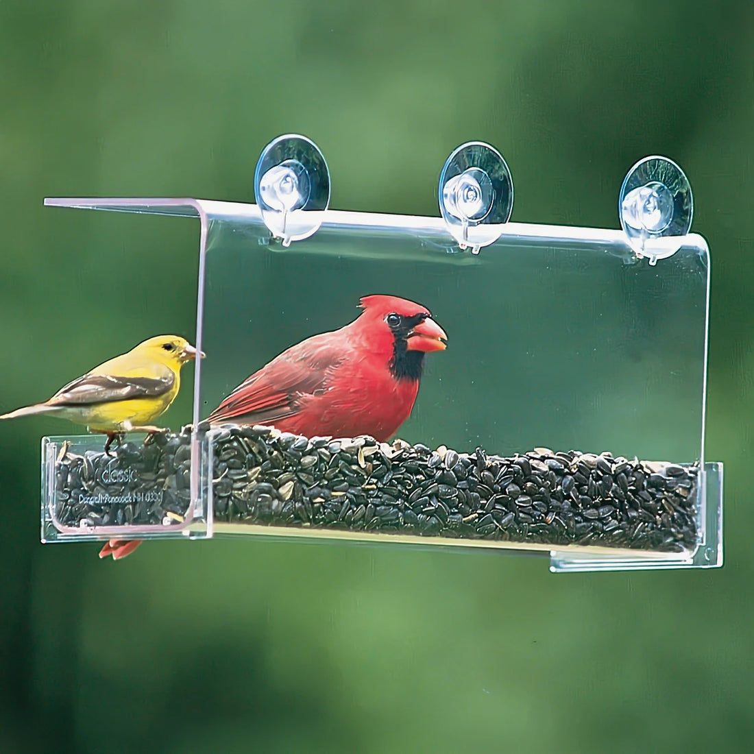 Cardinal Classic Window Feeder