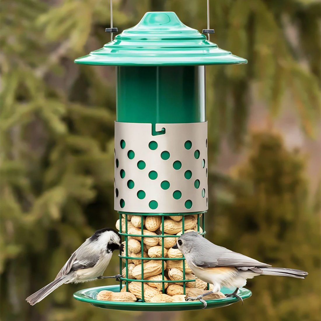 Combo Mealworm, Suet Balls or Peanut Bird Feeder