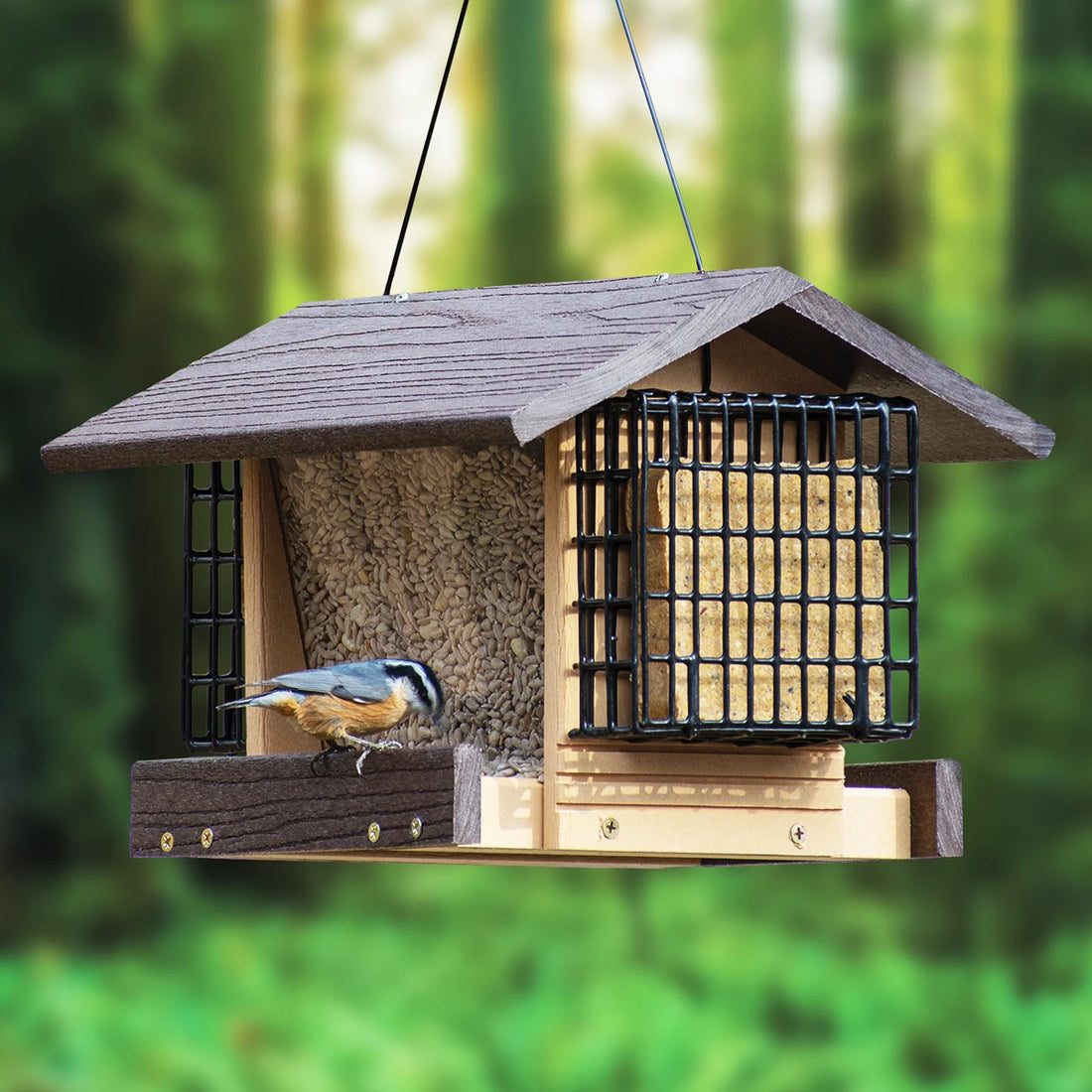Contemporary Deluxe Ranch Bird Feeder with Suet Feeders