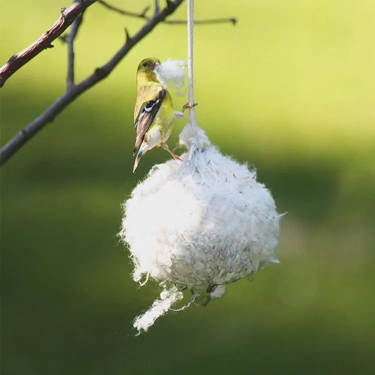 Cottontail Nest Builder