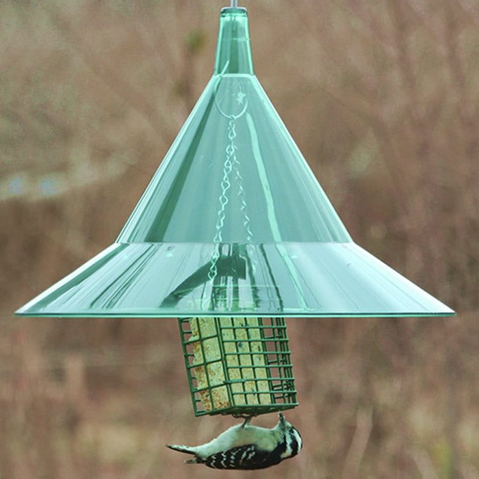 Emerald Squirrel Guard