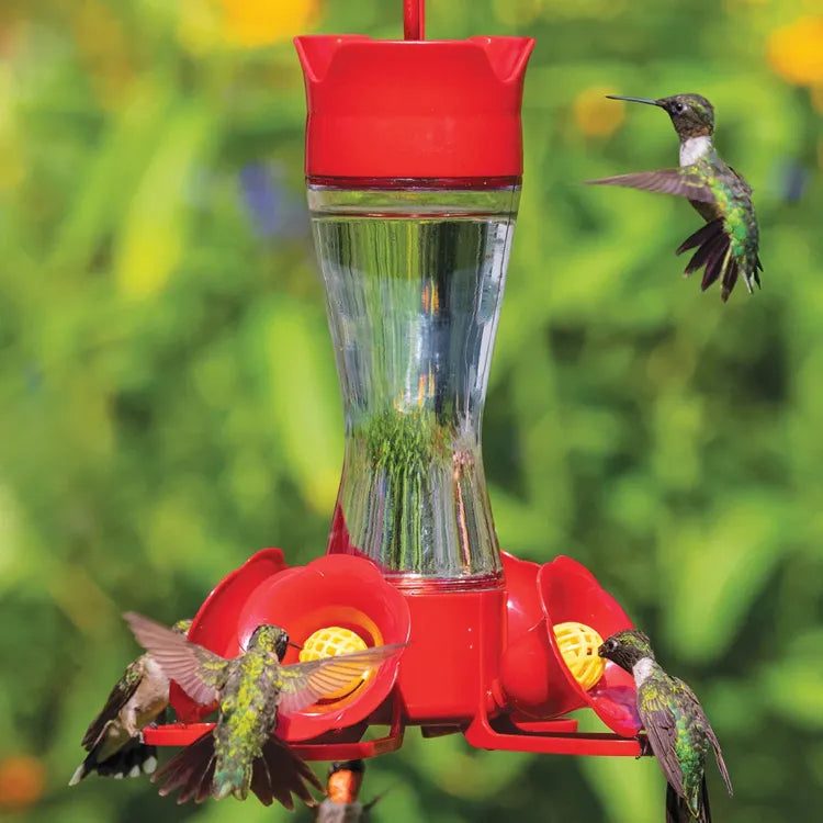 Four Flower Hummingbird Feeder