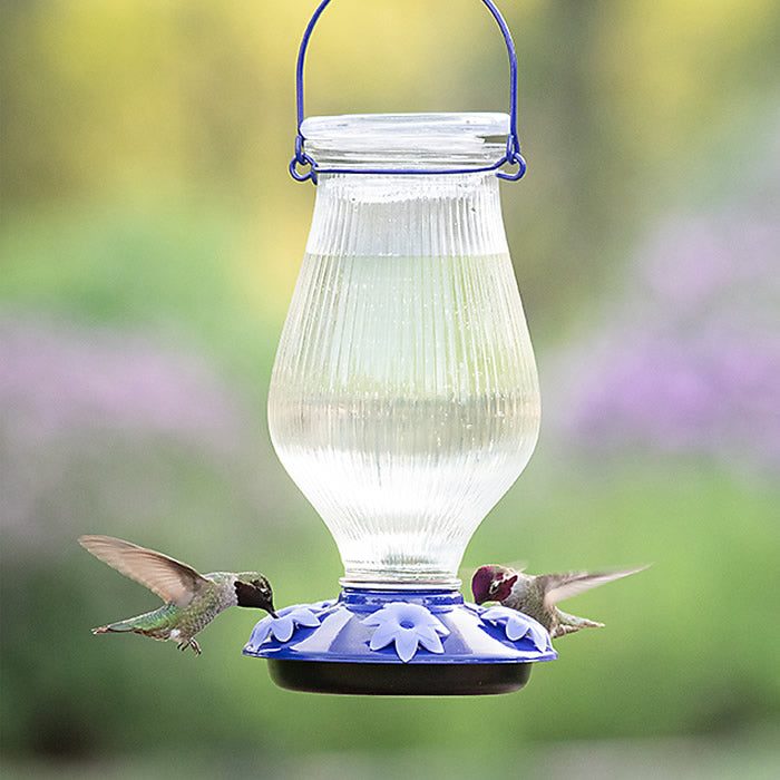 Grand Oasis Top-Fill Glass Hummingbird Feeder