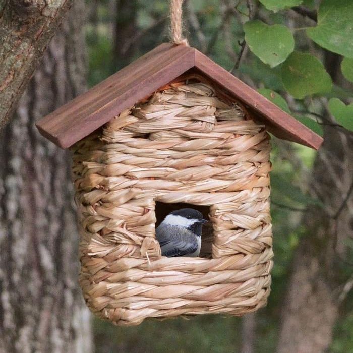 Hanging Grass Roosting Pocket with Roof