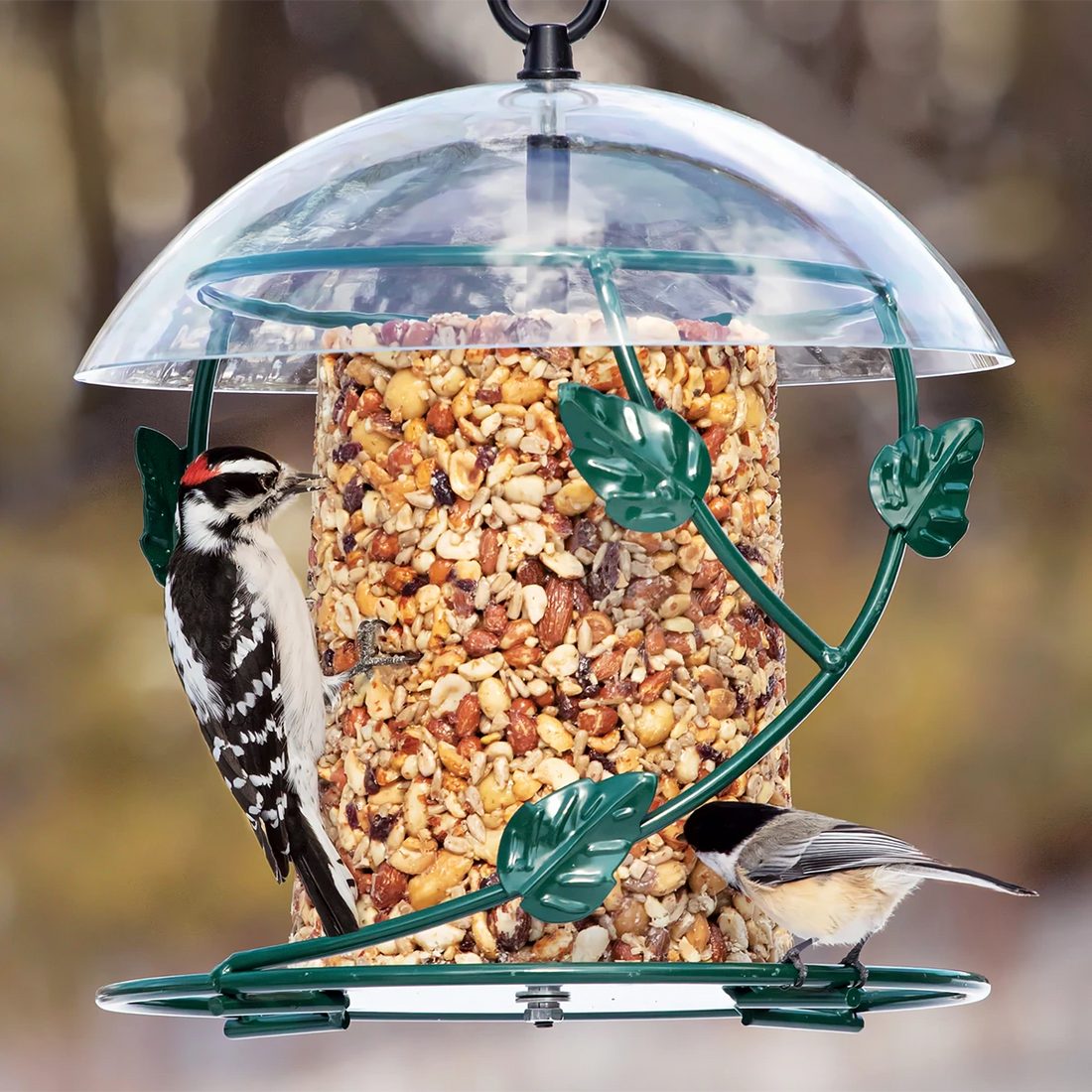 Hanging Seed Cylinder Bird Feeder