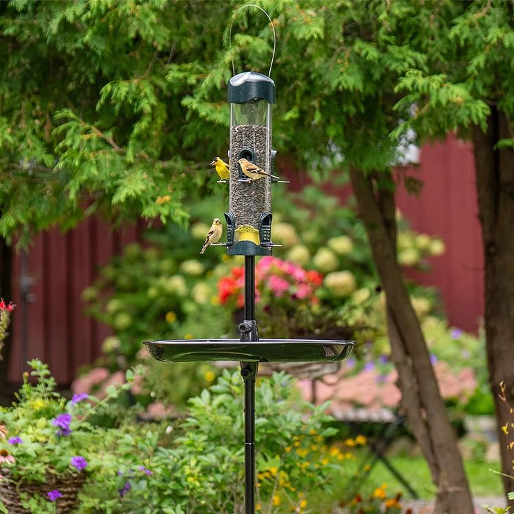 Large Tube Feeder Podium Station