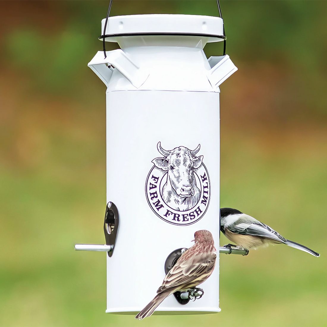 Milkhouse Milk Can Seed Bird Feeder