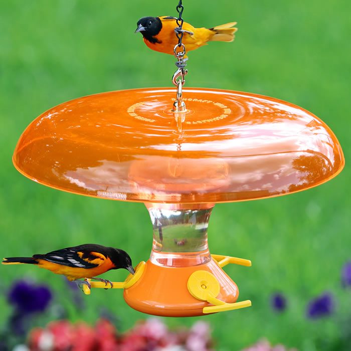 Oriole Feeder & Orange Weather Baffle