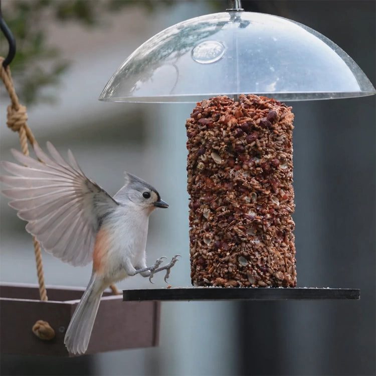 Recycled Plastic Seed Cylinder Feeder