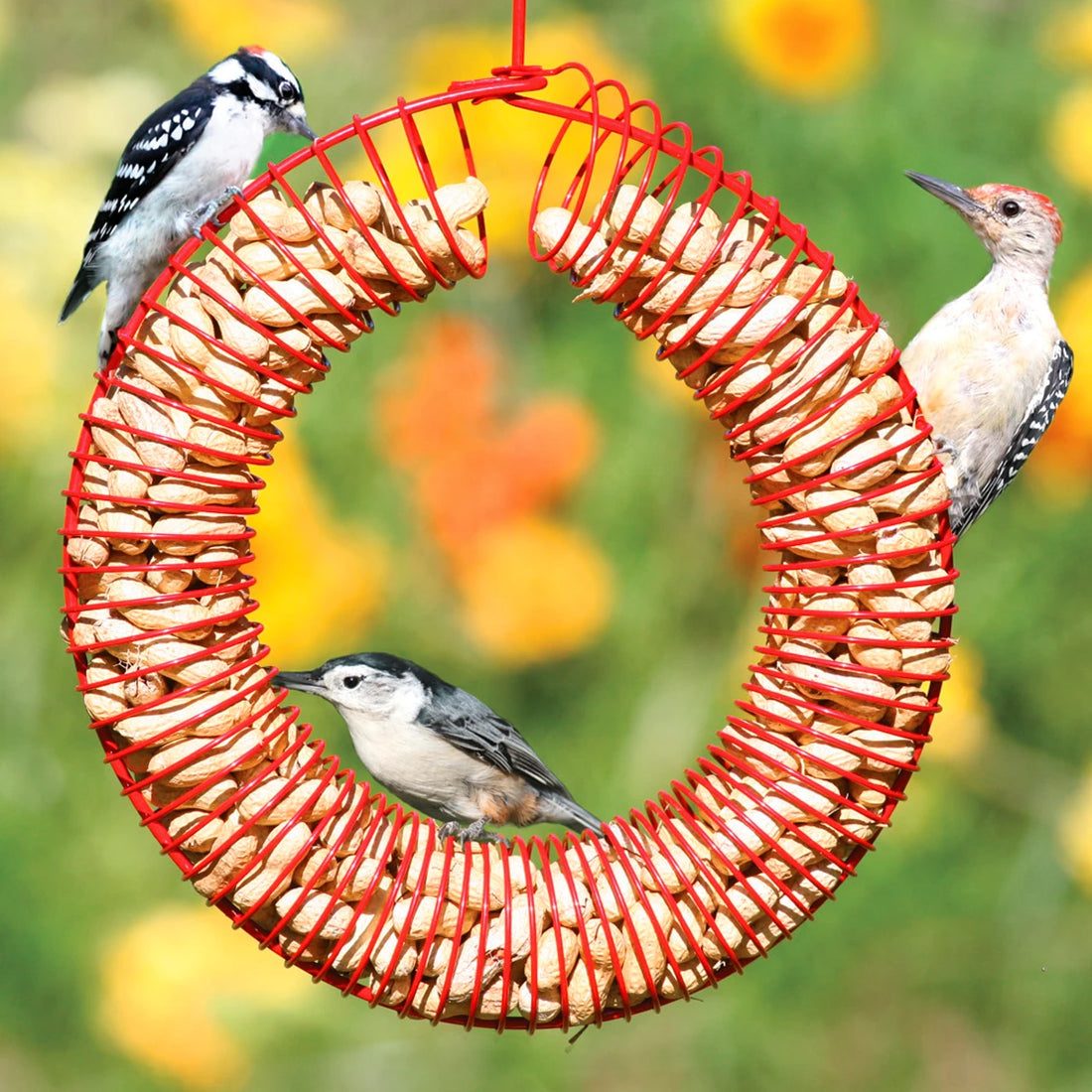Red Whole Peanut Wreath Bird Feeder