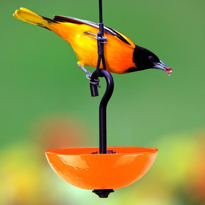 Single Hanging Poppy Bird Feeder