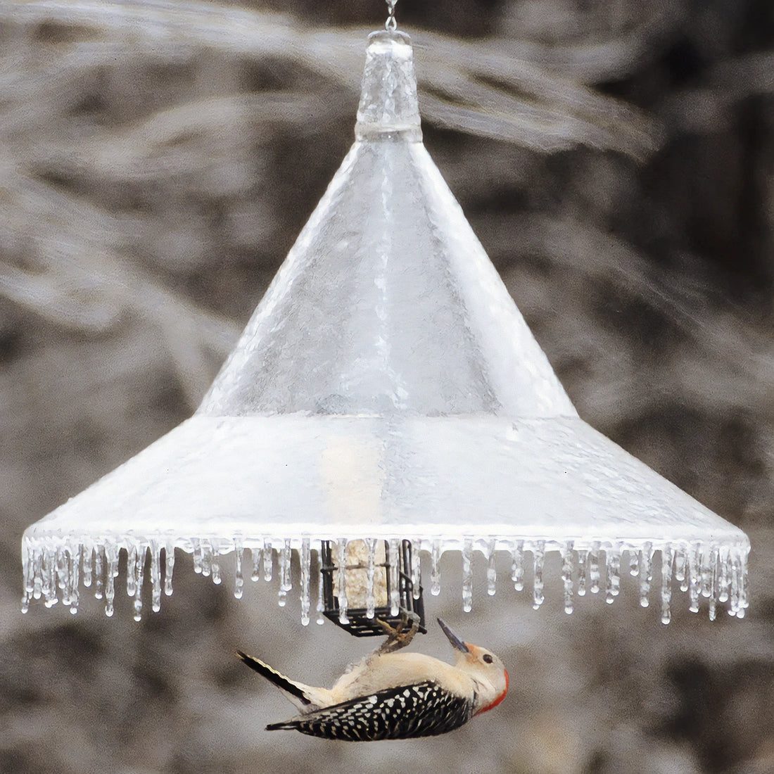 Squirrel Away Hanging Baffle