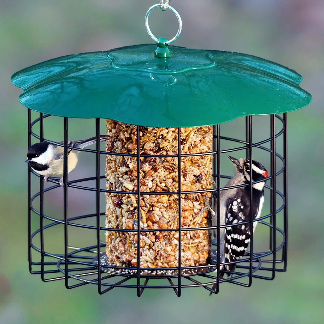 Squirrel-Defeating Seed Log Feeder
