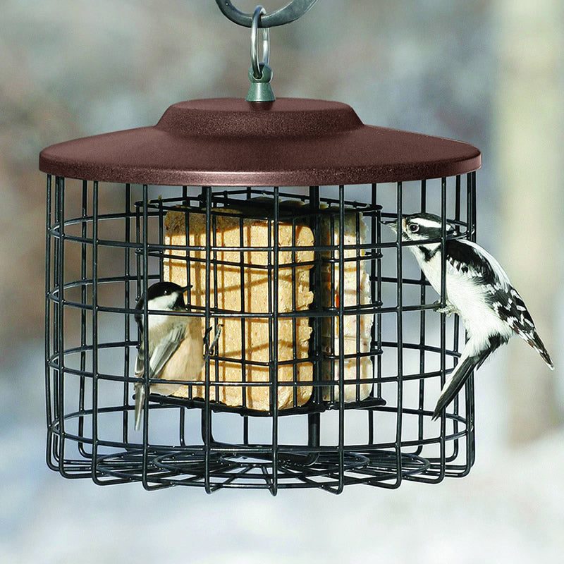 Squirrel Proof Double Suet Feeder, Brown