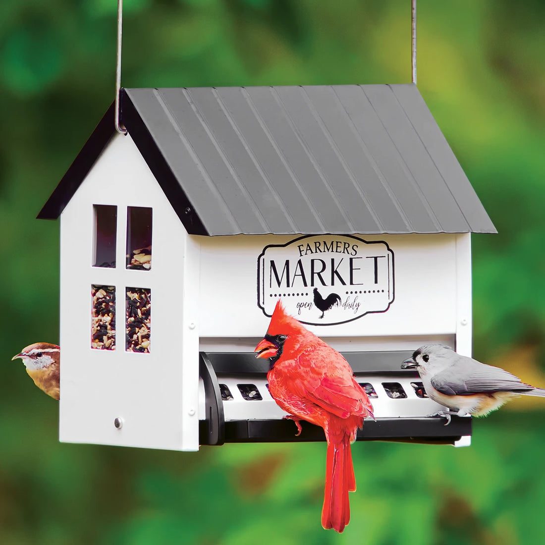Squirrel Shield Hopper Bird Feeder