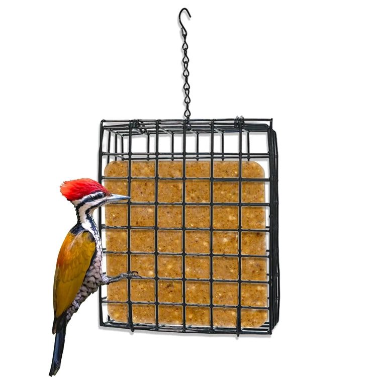 Suet Cage with Mounting Screws