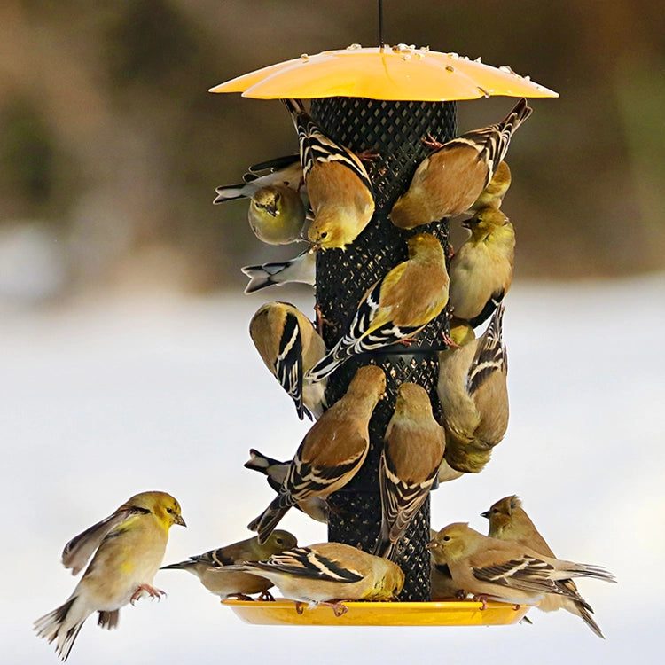 Sunflower Kernel Collapsible Diamond Mesh Bird Feeder