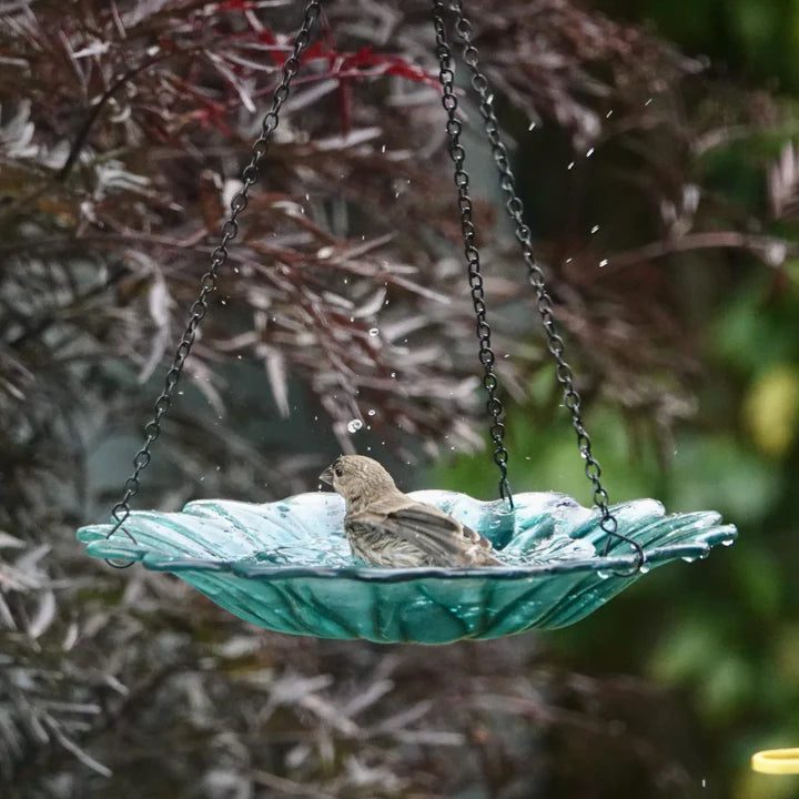 Turquoise Dahlia Hanging Bird Bath