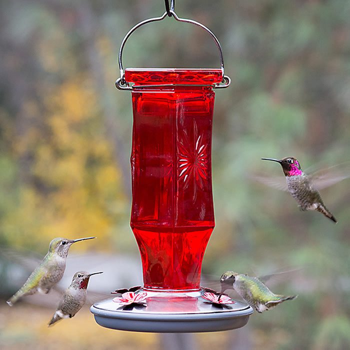 Vintage Ruby Starburst Hummingbird Feeder