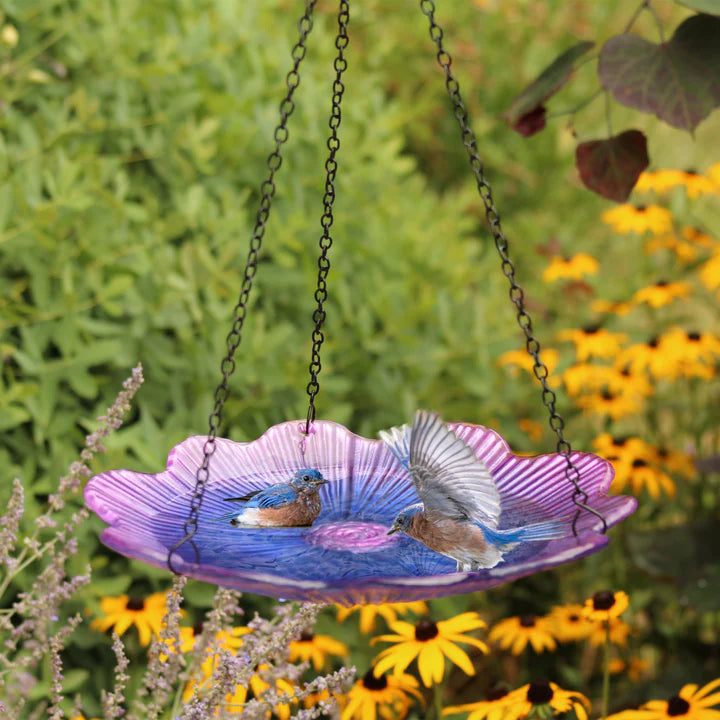 Violet Begonia Hanging Bird Bath