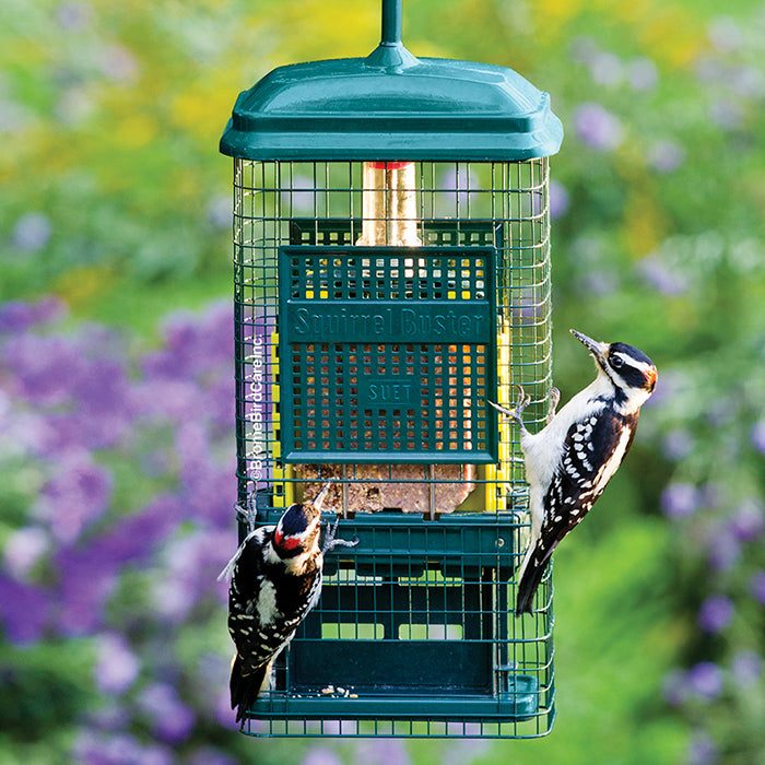 Weight-Activated Squirrel-Proof Suet Feeder