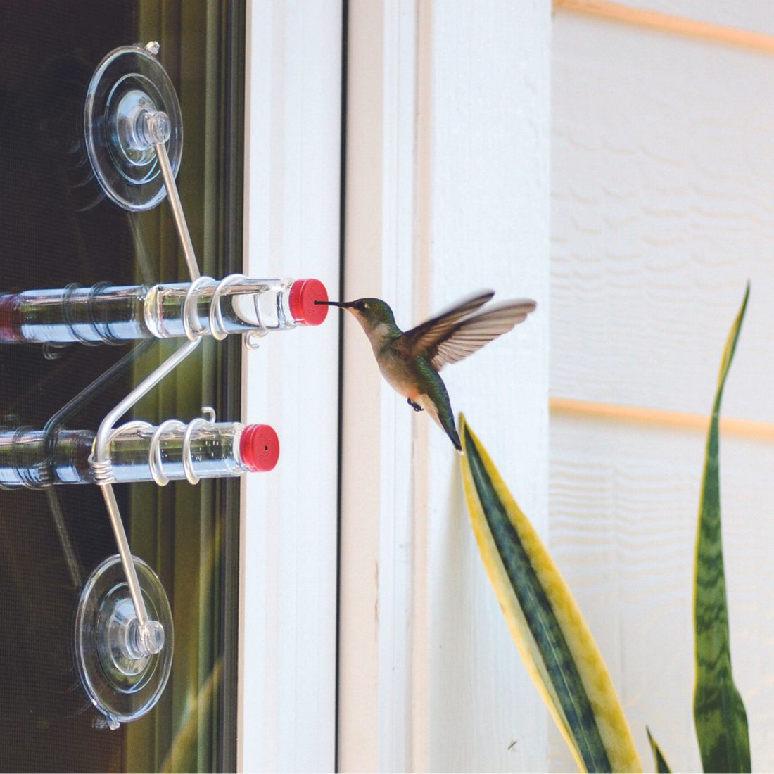 Window Hummingbird Feeder, 2 Tube Feeder