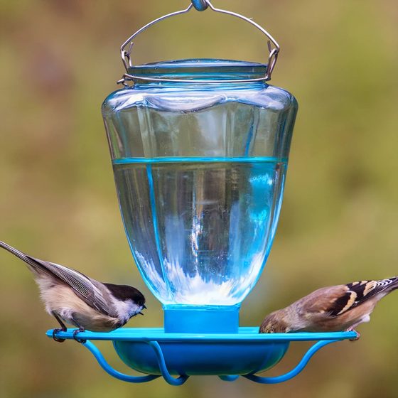 32 oz. Glass Waterer Bird Bath