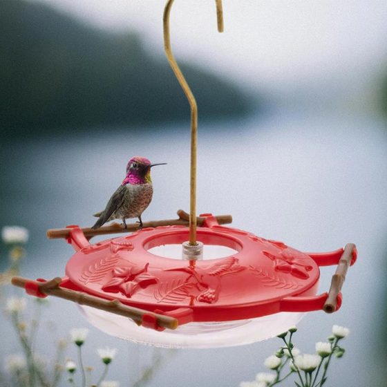 Aspen Perch Hummingbird Feeder