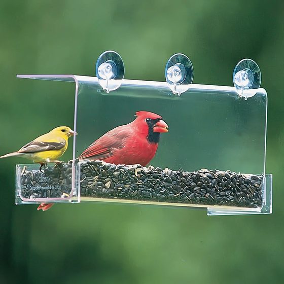 Cardinal Classic Window Feeder