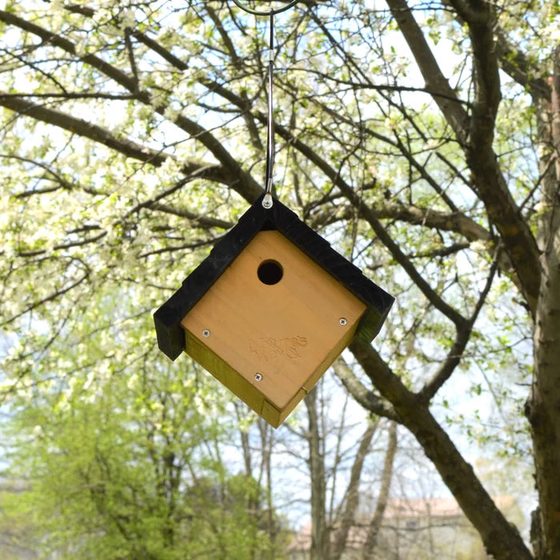 Cedar Wren Traditional Hanging Bird House