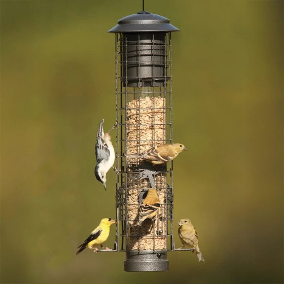 Dragonfly Squirrel-Resistant Bird Feeder
