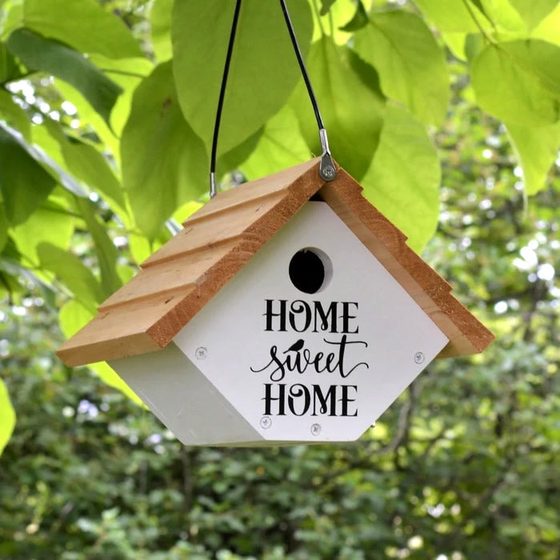 Farmhouse Wren House