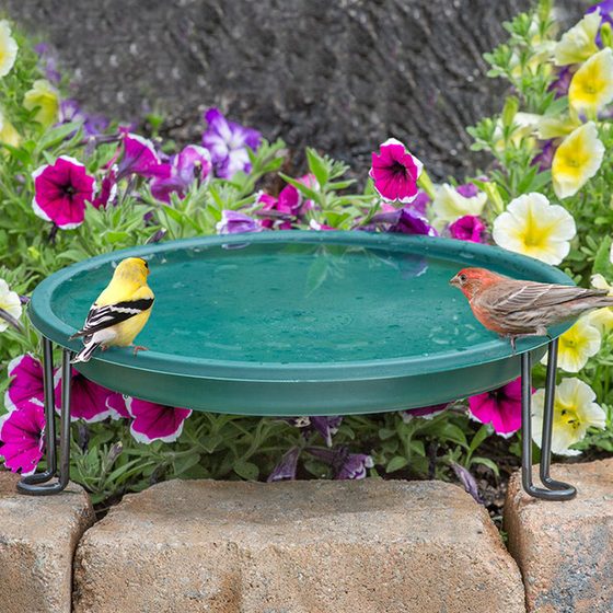 Ground Level Bird Bath, Green