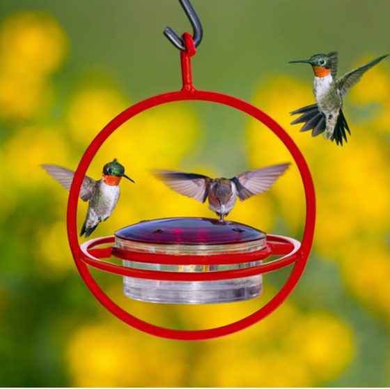 Hanging Sphere Hummingbird Feeder with Red Perch