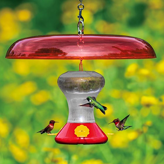 Hummingbird Feeder & Baffle Set