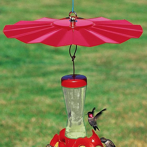 Hummingbird Weather Baffle