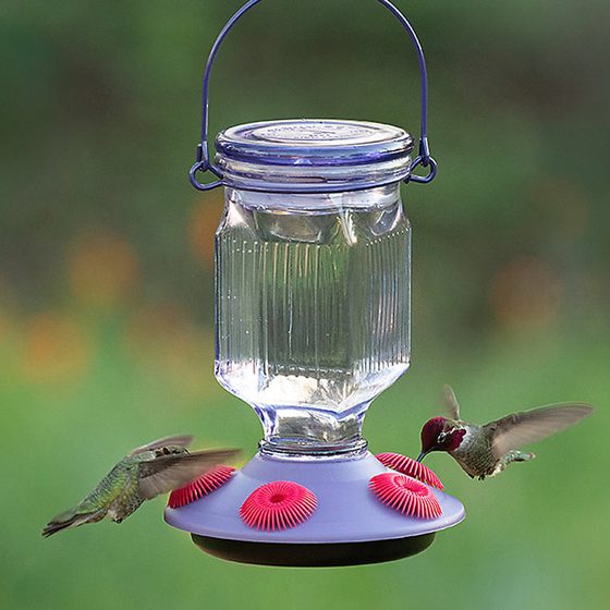 Lavender Field Top-Fill Glass Hummingbird Feeder