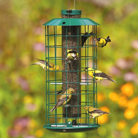 Metal Nyjer Bird Feeder