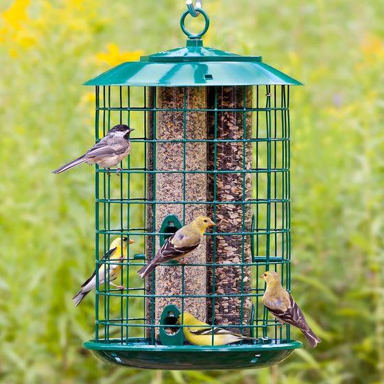 Metal Safe Haven Bird Feeder