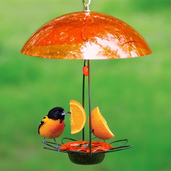 Oriole Flower Feeder with Orange Dome