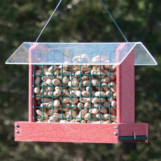 Peanut or Cake Feeder, Red