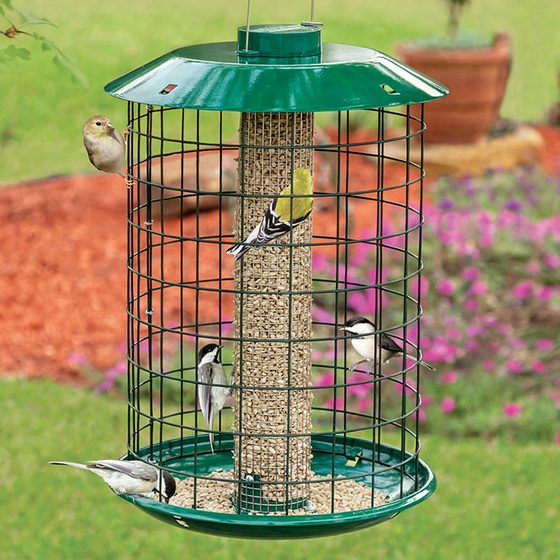 Peanut & Sunflower Mesh Metal Selective Bird Feeder