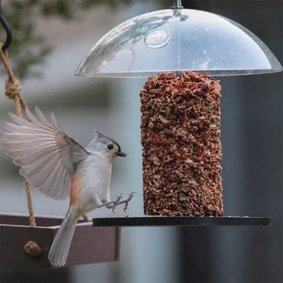 Recycled Plastic Seed Cylinder Feeder