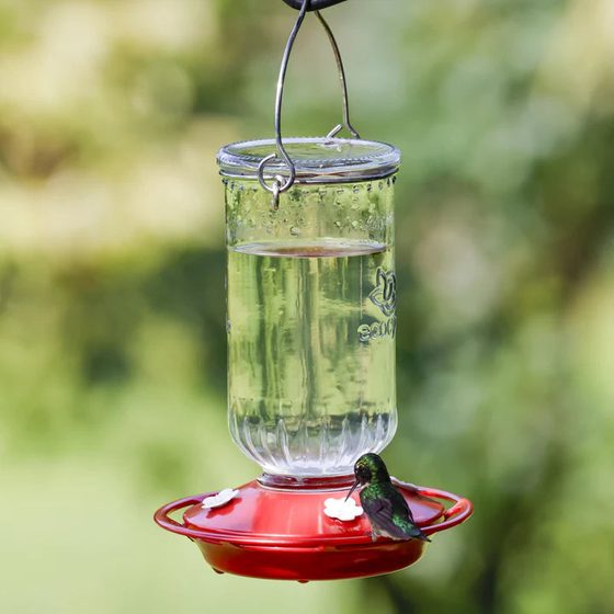 Ruby Roost Recycled Glass Hummingbird Feeder