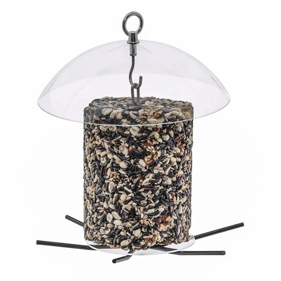 Seed Cylinder Bird Feeder with Dome